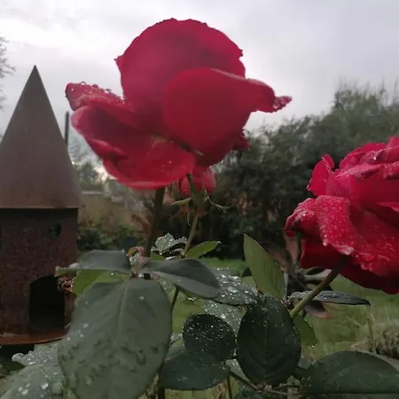 Apartment 10 Min Nach Augsburg - Mit Extra-eingang *